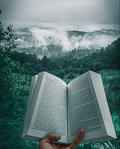 book in the forested mountains