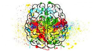 Multicolored brain