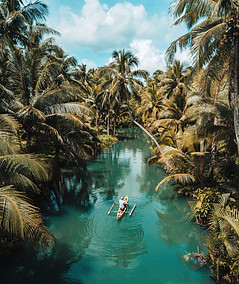 Boat in a river surrounded by lush vegetation