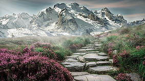 Image shows a mountain landscape in the background with a green field with pink flowers and a stone path going into the distance