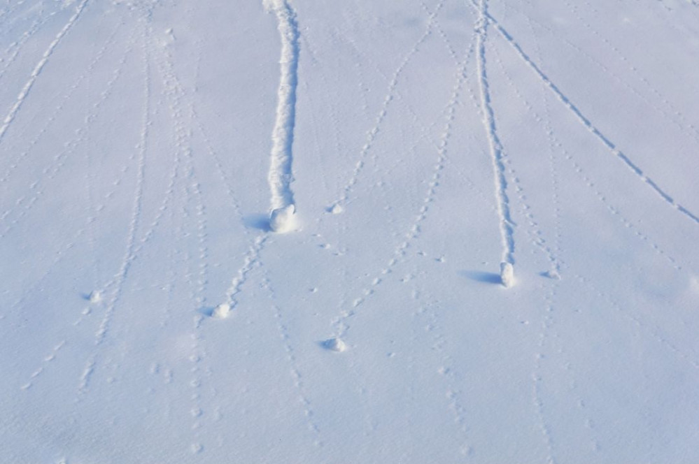 Image shows several different sized snowballs rolling down a hill