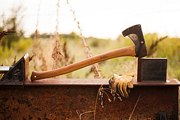 Image shows an axe resting on a block of wood with a field behind it