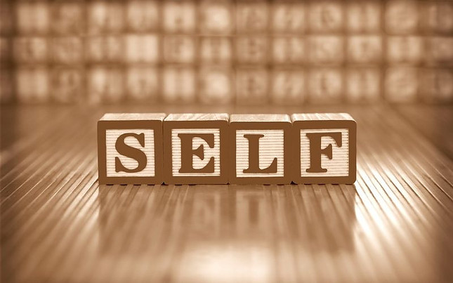Image is the word "SELF" spelled out in wooden blocks in sepia tones.