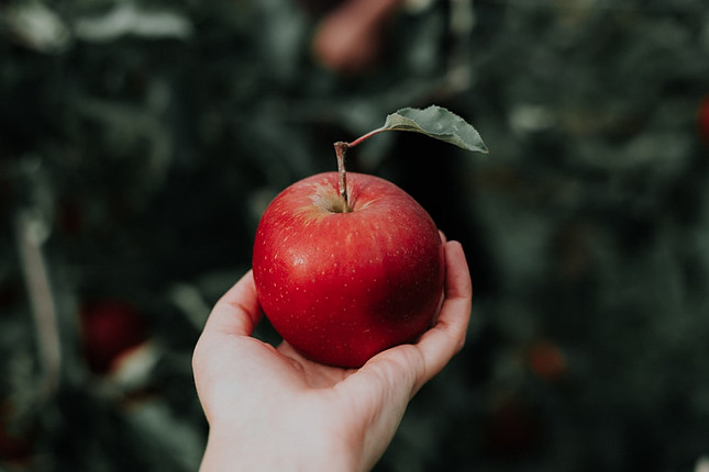 Image shows a hand holding a red apple in the foreground and in the background are unfocused leaves.